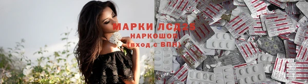 гашик Алексеевка