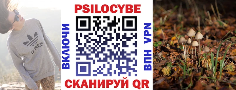 Купить закладки Гусев Псилоцибиновые грибы Magic Shrooms